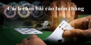 Cách Chơi Bài Cào Chuẩn Nhất - Mẹo Thắng Liên Tục Từ Cao Thủ 