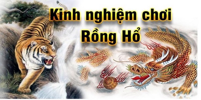 Rồng Hồ là trò chơi như thế nào?