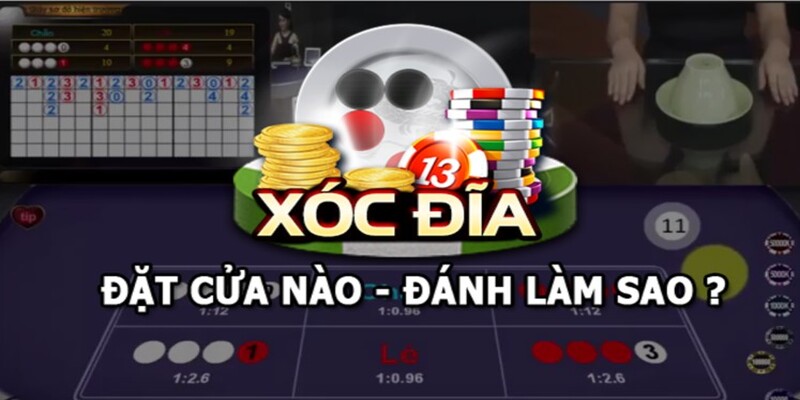 Nghiên cứu về xóc đĩa cơ bản