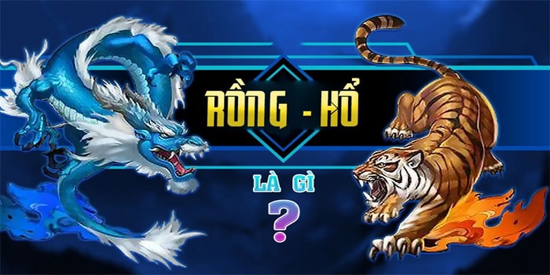 Một số những thuật ngữ mà bạn nên biết khi tham gia trò chơi Rồng Hổ