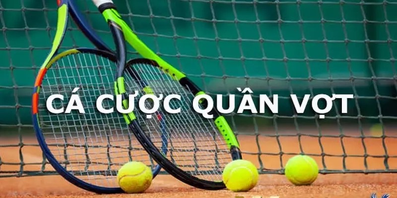 Tổng hợp các thuật ngữ cá độ tennis cơ bản