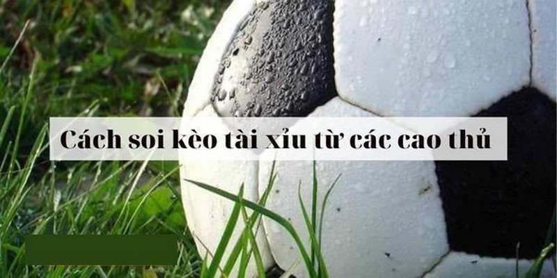 Lưu ý quan trọng khi chơi kèo Kèo Tài Xỉu trái