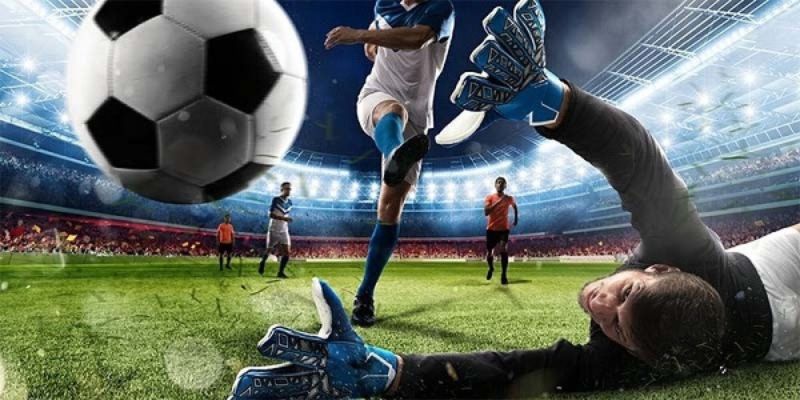 Cách coi tỷ lệ cá cược bóng đá tài xỉu tỷ lệ 2.5 trái