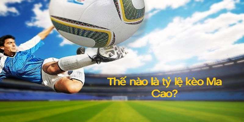 Những loại tỷ lệ cá cược Ma Cao cơ bản