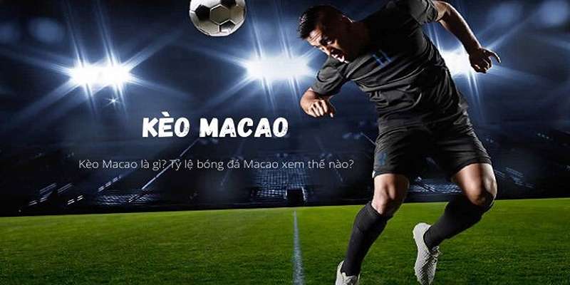 Lưu ý khi tham gia đặt kèo tỷ lệ cá cược Ma Cao