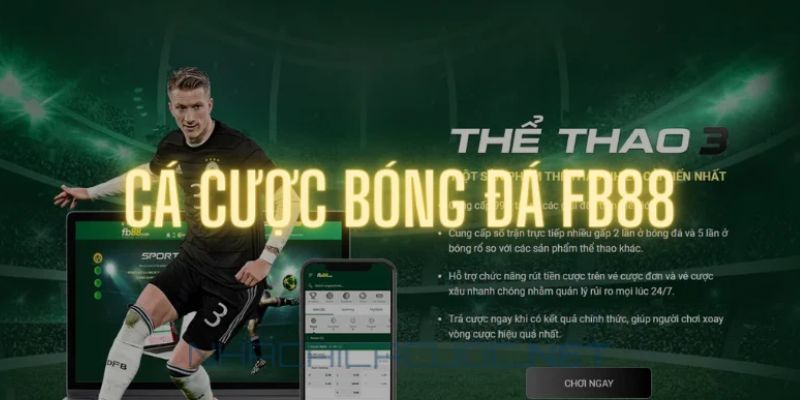Đôi nét về trang cá cược bóng đá FB88