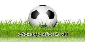Kèo Tài Xỉu Trái - Các Thông Tin Cơ Bản Nhất Mà Bet Thủ Cần Nắm 