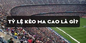 Tỷ Lệ Cá Cược Ma Cao Là Gì? Bật Mí Cách Chơi Thắng Lớn 