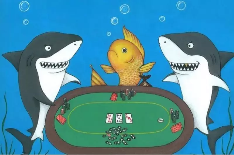 Tìm hiểu khái niệm của Fish trong Poker 