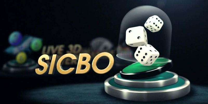 kinh nghiệm chơi sicbo online